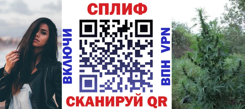 Бошки Шишки тримм  купить закладку  Димитровград 